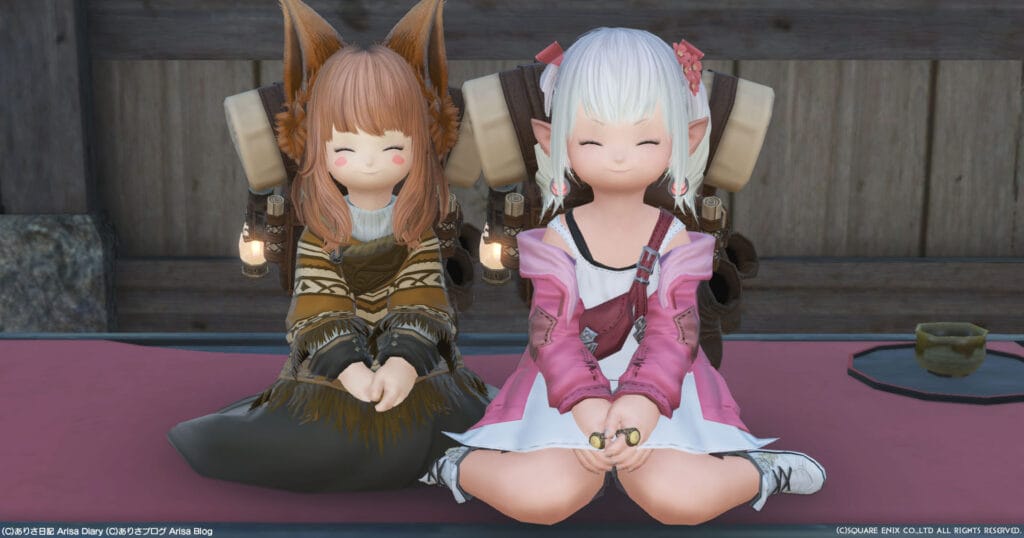 【FF14】メインストーリー再開 6.5～7.0前まで【FFXIV】