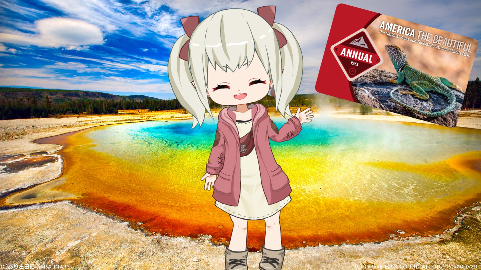 ※MT※ アメリカ国立公園パス　& カードフォルダー MT様専用※ アメリカ国立公園パス & カードフォルダー